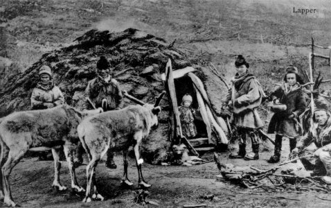 Kautokeinosamer og reinsdyr utenfor sommerboligen, Magerøysundet, Nordkapp, Finnmark - Norsk folkemuseum - NF.05063-013