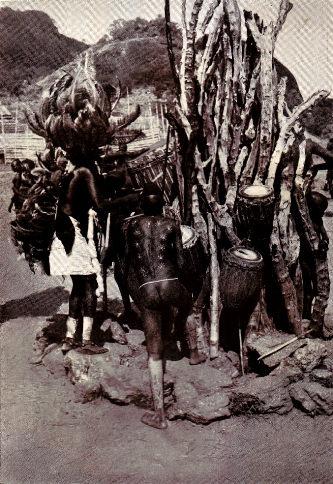Karl Schwabe, 3 x Afrika (129)