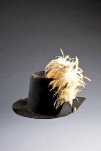 Karl XIII hatt - Livrustkammaren - 86723
