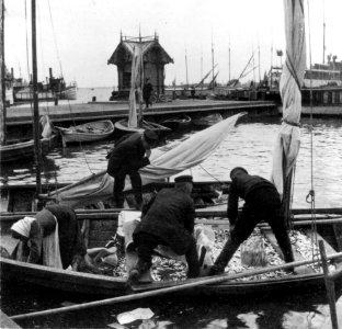 Kauppatori, silakkamarkkinat - N261923 (hkm.HKMS000005-km002zzr)