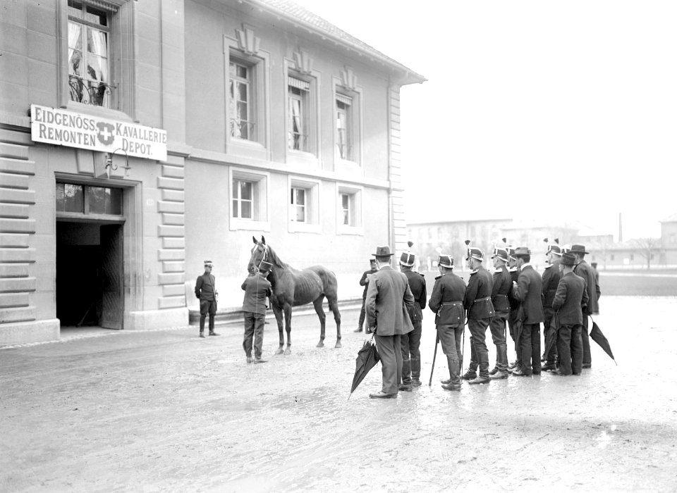 Kavalleristen bei der Besichtigung eines neuen Pferdes - CH-BAR - 3238418
