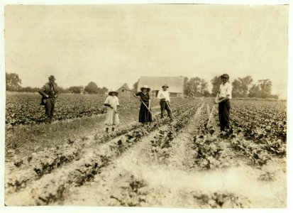 Kastvan family, beet workers near Corunna, hoeing beets. They are Hungarians who came to Mich. last Spring with a trainload of immigrants (several hundred of them) from New York City. Now LOC nclc.00689