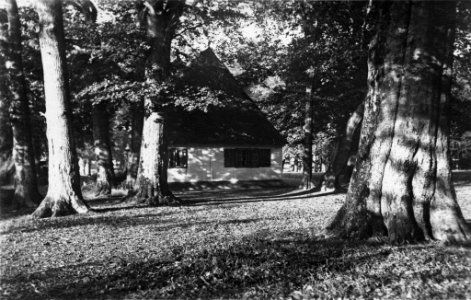 Kate im Wulfshagener Gehölz bei Tüttendorf (Kiel 54.341)