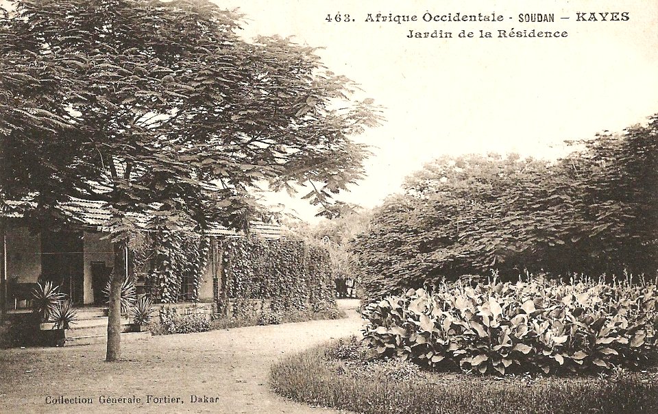 Kayes-Jardin de la Résidence (AOF)