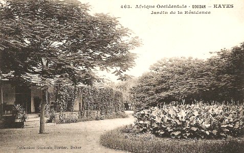 Kayes-Jardin de la Résidence (AOF)
