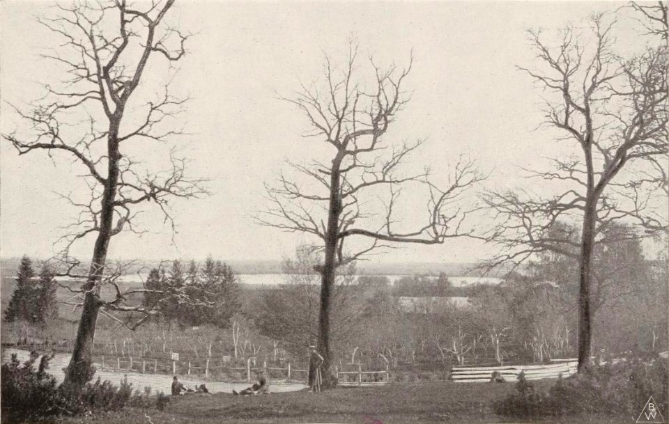 Kałdyčeva. Калдычэва (T. Boretti, 1900)