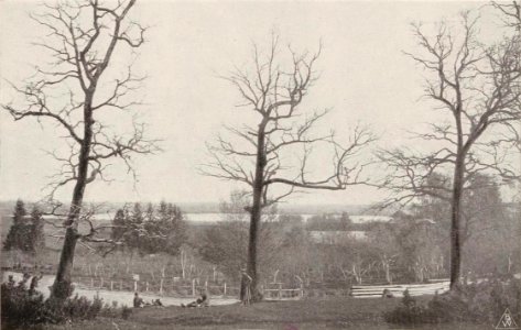 Kałdyčeva. Калдычэва (T. Boretti, 1900)