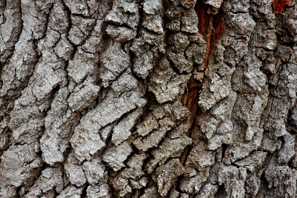Chop wood firewood background