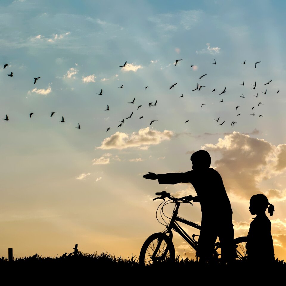 People sunset bike