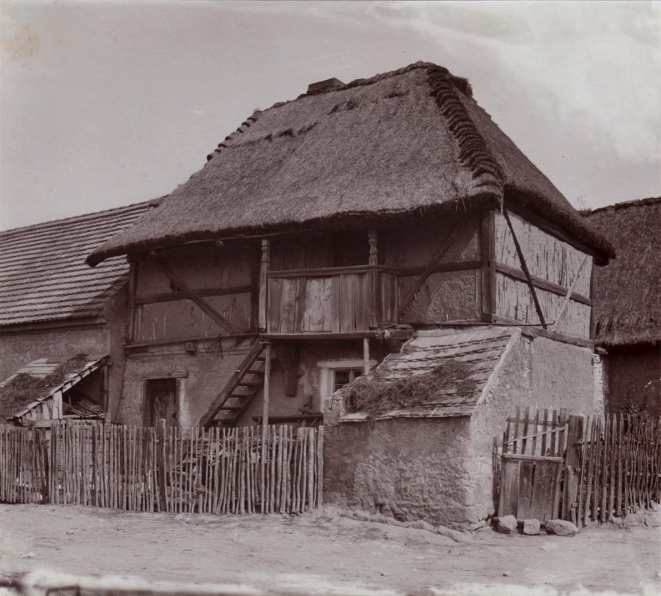 Kačice (Duras)