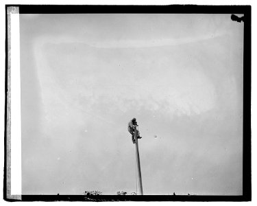 Kellian, S.E. Steeplejack LCCN2016819766