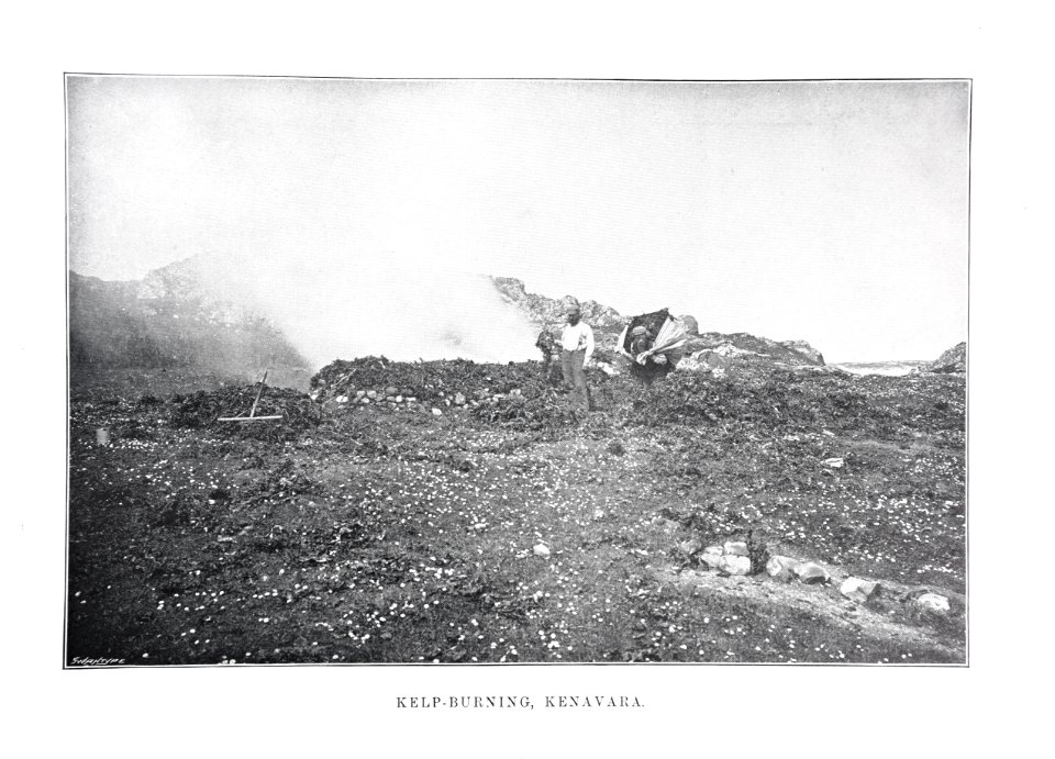 Kelp-burning Kenavara Beveridge 1903