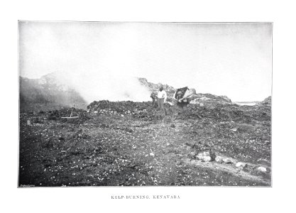 Kelp-burning Kenavara Beveridge 1903
