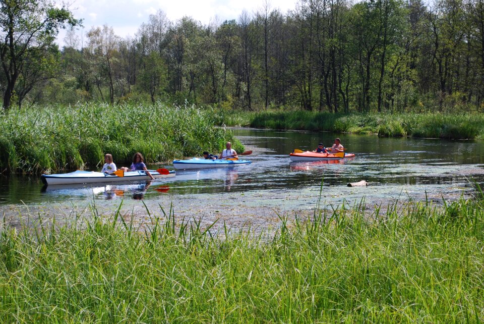 Kayak travel summer