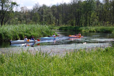 Kayak travel summer