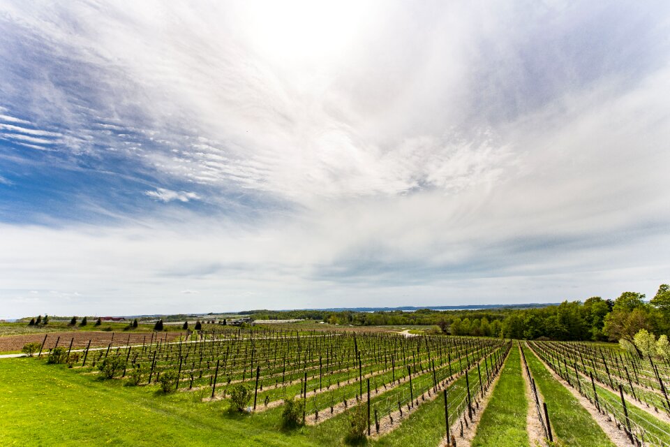 Wine traverse city michigan