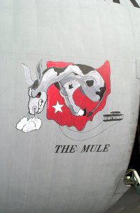 KC-141 The Mule Nose Art