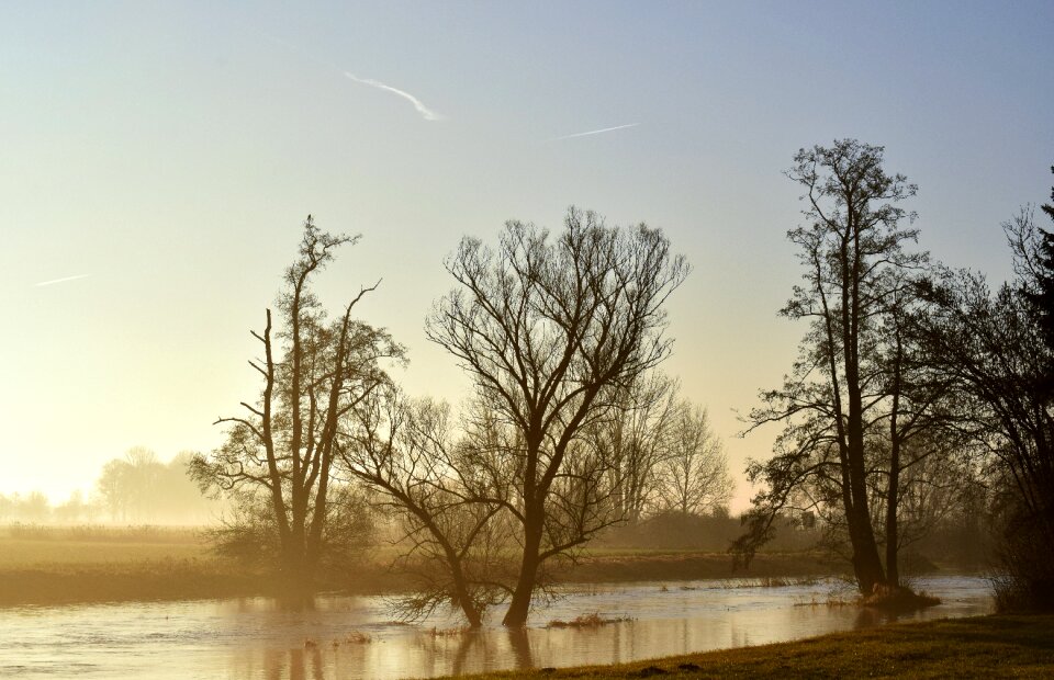 Delight dawn twilight