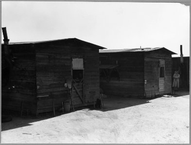 Kern County, California. Housing on abandoned grower's ranch camp, now being occupied as permanent r . . . - NARA - 521715