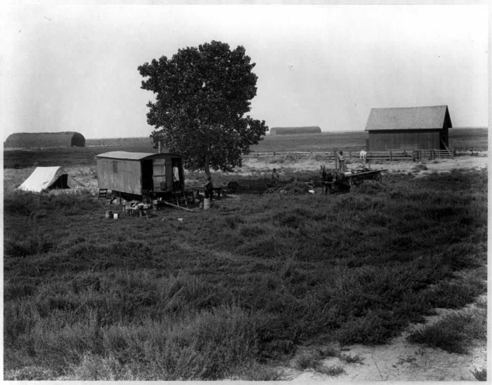 Kern County, California)- Collins Ranch. Haying- the haymakers' camp LCCN2003662214