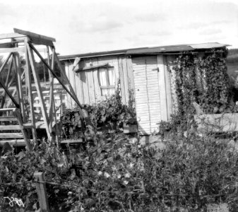 Kesäasunto Töölössä - N2203 (hkm.HKMS000005-000001dk)