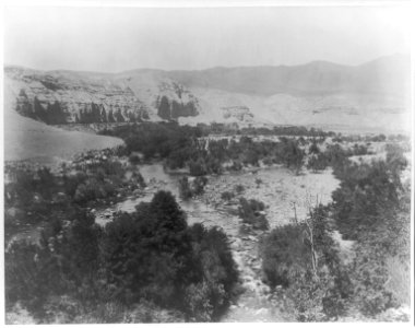 Kern river on Rio Bravo ranch, 15 miles NE of Bakersfield. Kern County, Cal. LCCN2016653501