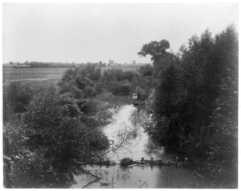 Kerr ranch - Panama slough of Farmers canal. Kern County, Cal. LCCN2016653507