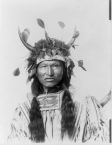 Kicking Bear, head and shoulders portrait, wearing headress of buffalo horns and leaves LCCN2016647994