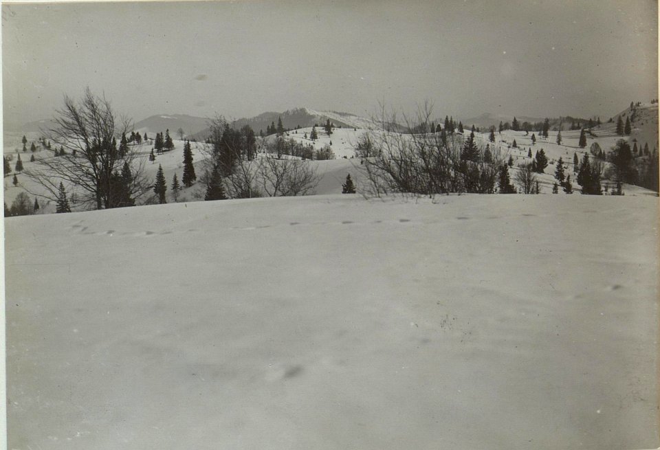 Kiczera, Blick nach Südost auf die Makowka (BildID 15439826)