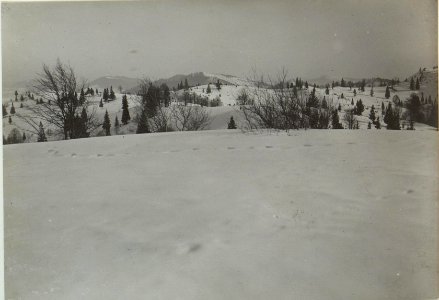 Kiczera, Blick nach Südost auf die Makowka (BildID 15439826)