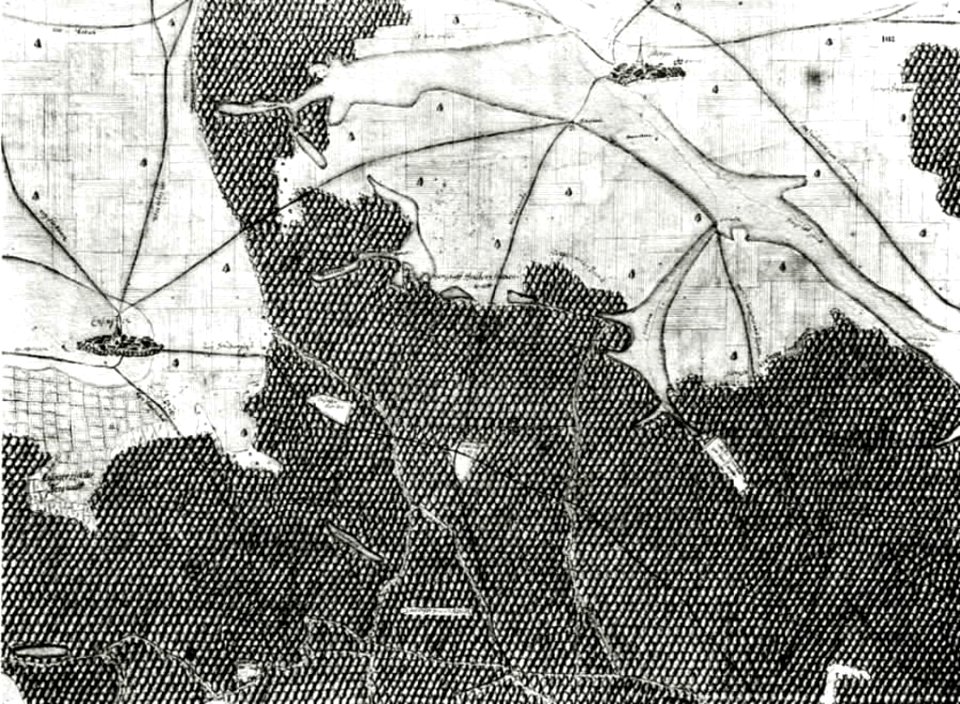 Kiesersche Forstkarte Nr. 103 Jllingen