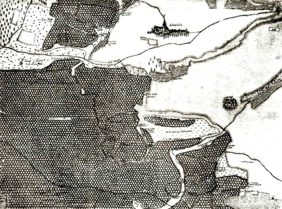 Kiesersche Forstkarte Nr. 129 Rihlinghausen (Rielingshausen)