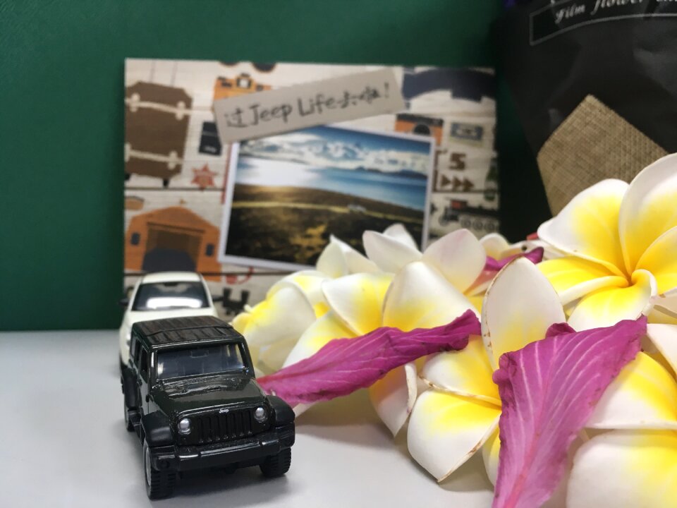 Jeep plumeria travel