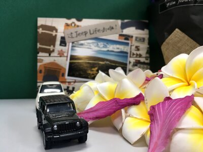 Jeep plumeria travel