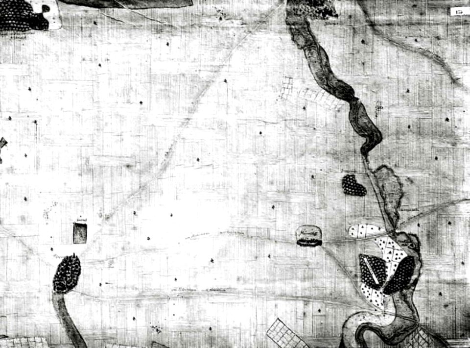 Kiesersche Forstkarte Nr. 175 Münchingen