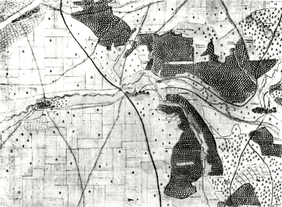 Kiesersche Forstkarte Nr. 19 Krezingen (Grötzingen)
