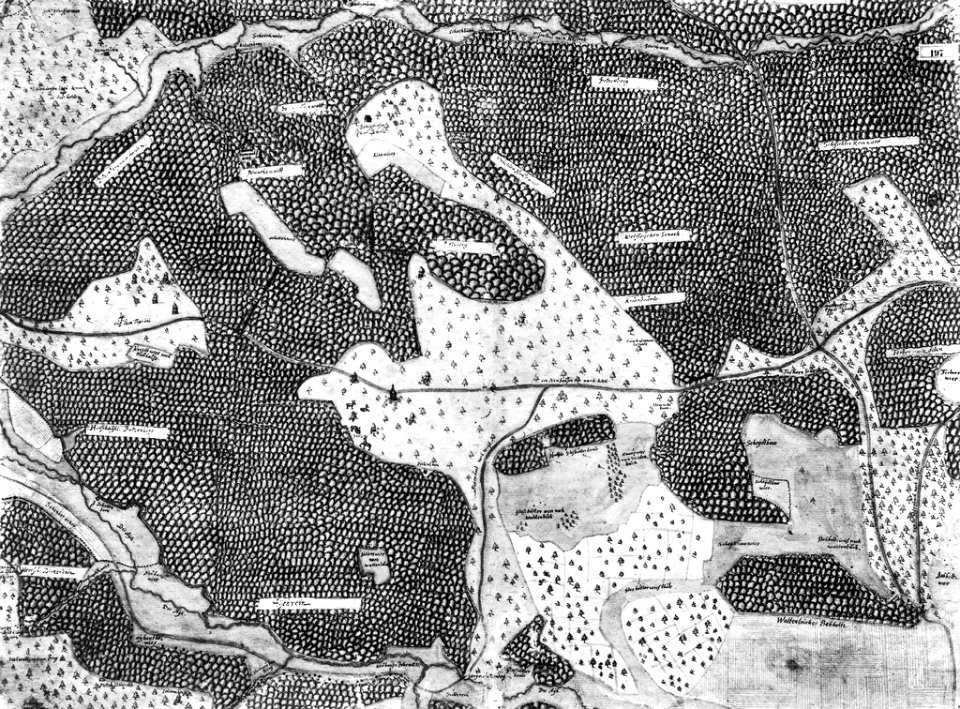 Kiesersche Forstkarte Nr. 197 Betzberg (und die Aych)