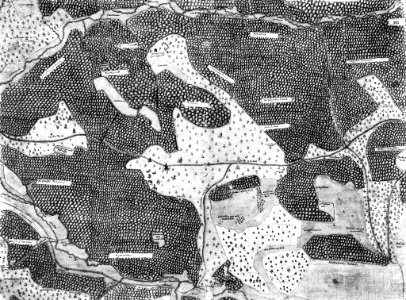 Kiesersche Forstkarte Nr. 197 Betzberg (und die Aych)