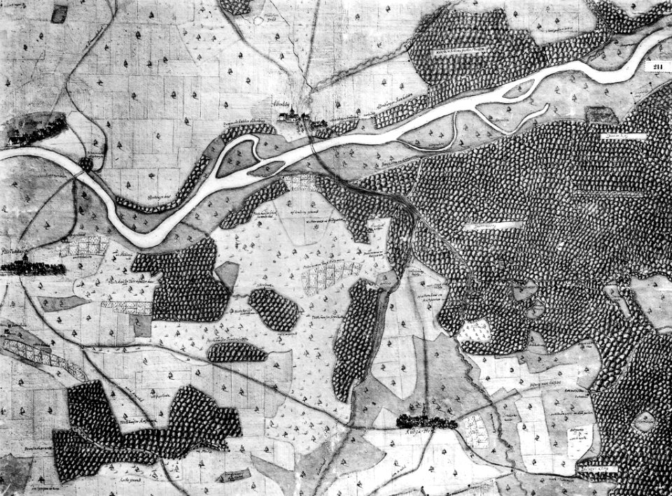 Kiesersche Forstkarte Nr. 211 Plietzhausen (Pliezhausen)