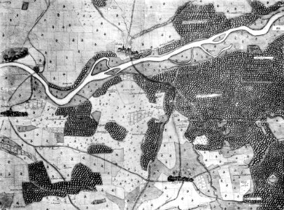 Kiesersche Forstkarte Nr. 211 Plietzhausen (Pliezhausen)
