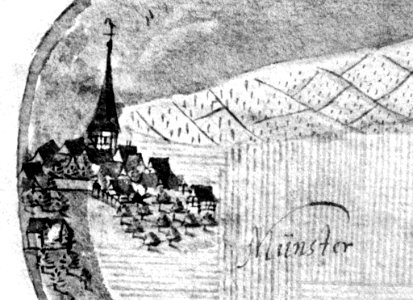 Kiesersche Forstkarte Nr. 243 Stuttgart-Münster