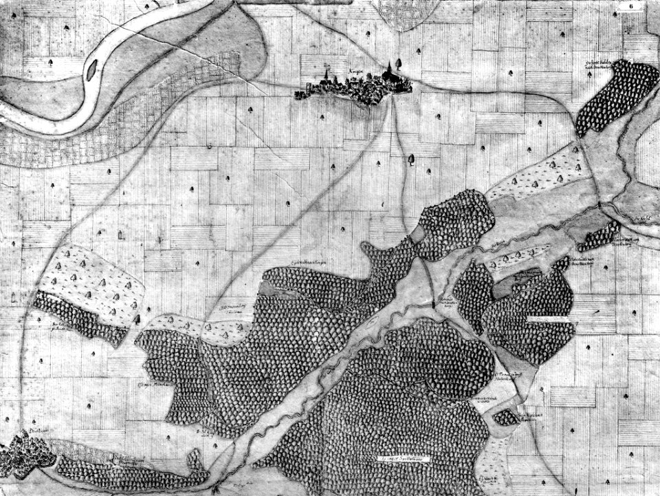 Kiesersche Forstkarte Nr. 6 Kingen (Köngen)