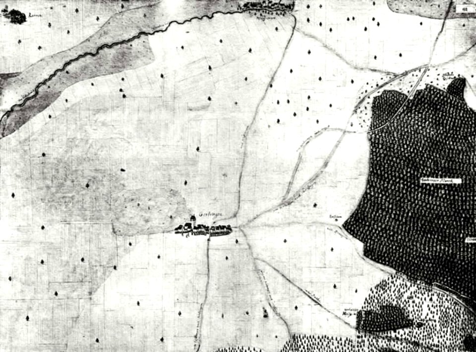 Kiesersche Forstkarte Nr. 63 Gertringen (Gärtringen)