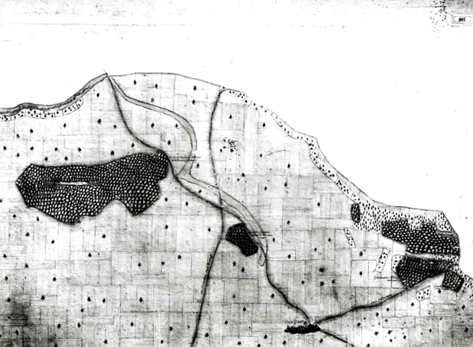 Kiesersche Forstkarte Nr. 207 Unter-Eschelbron (Öschelbronn)
