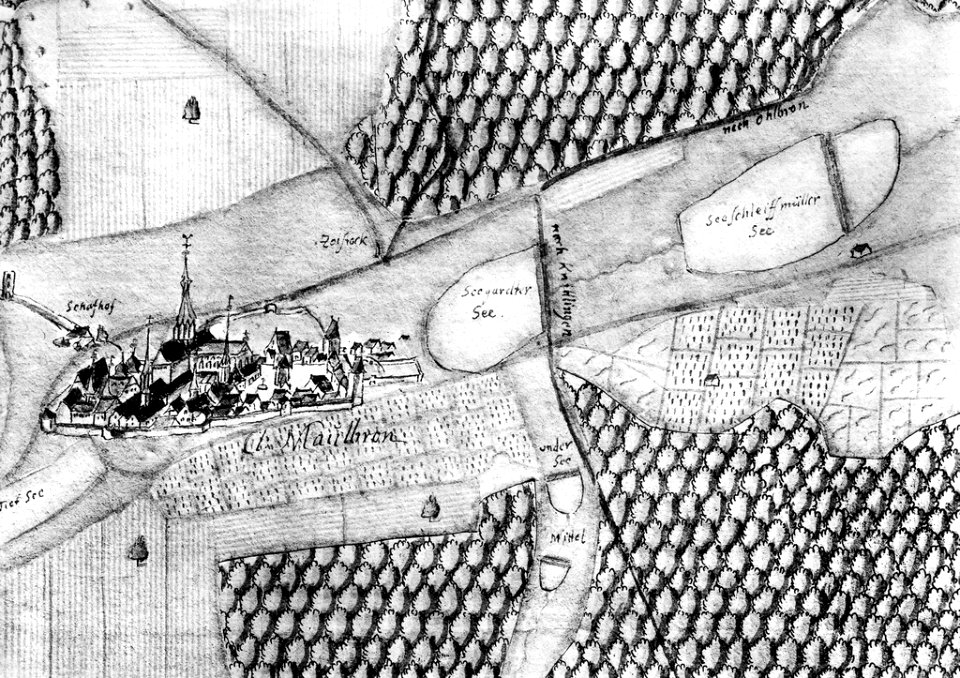 Kiesersche Forstkarte Nr. 95 Kloster Maulbronn