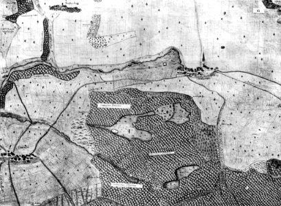 Kiesersche Forstkarte Nr. 65 Holtzgerlingen