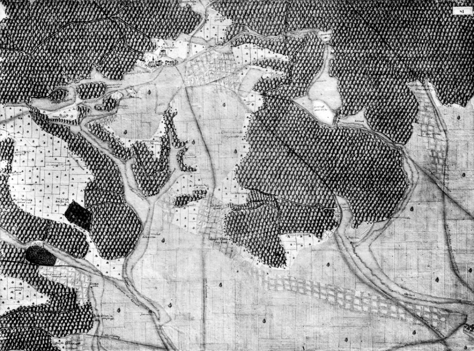 Kiesersche Forstkarte Nr. 81 Sternfels (Sternenfels)