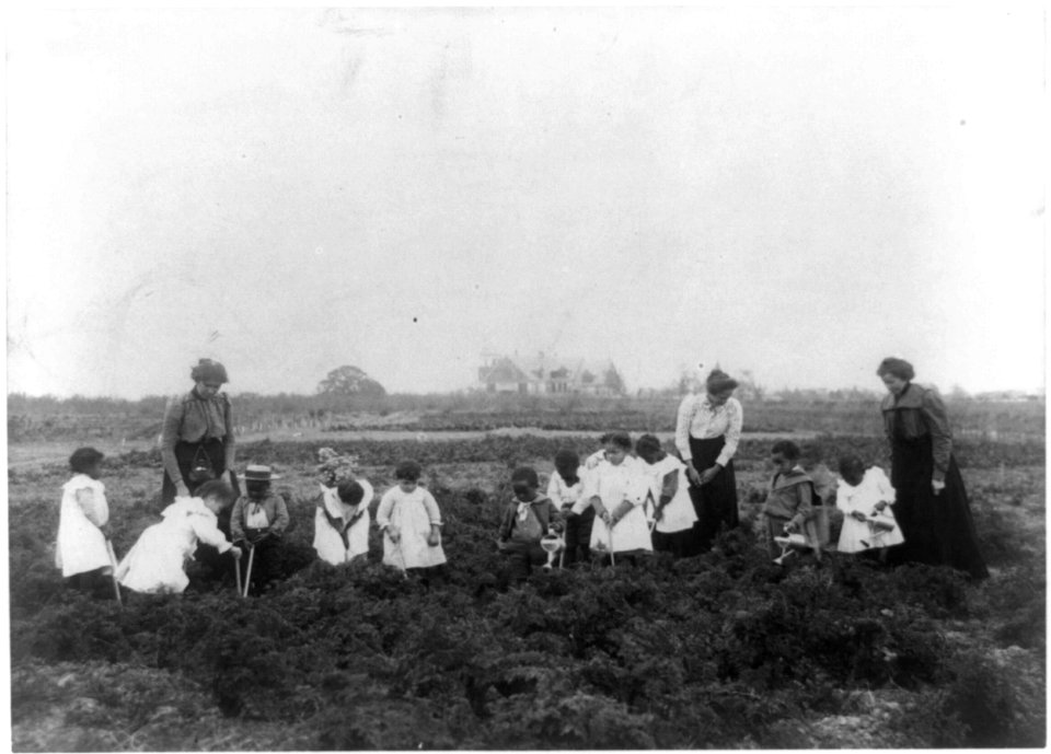 Kindergarten field work LCCN92517024