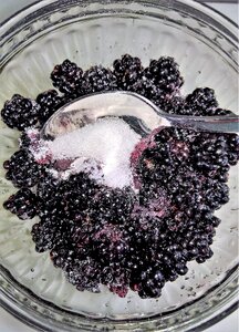 Berries purple black