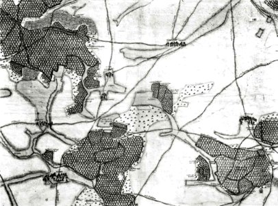Kiesersche Forstkarte Nr. 142 Walttrems (Waldrems mit einer Kelter)